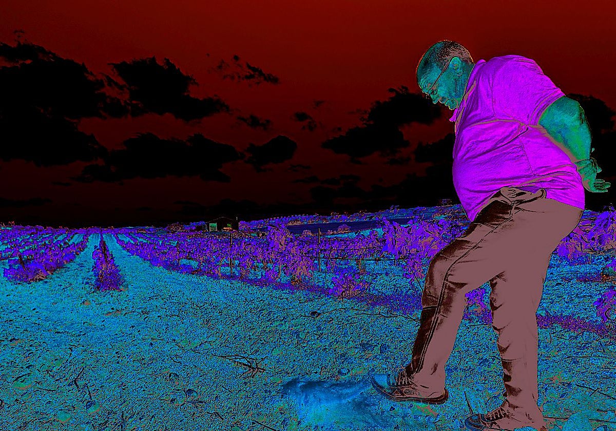 Agricultura Agricultura pide que se activen los pozos de sequía en la